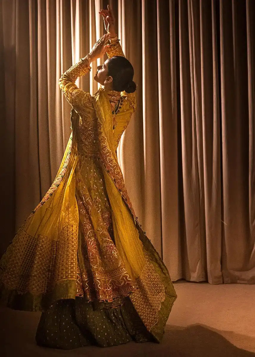 HSY | Rehana Collection 2023 | Ronak - Riwayat-e-Khas