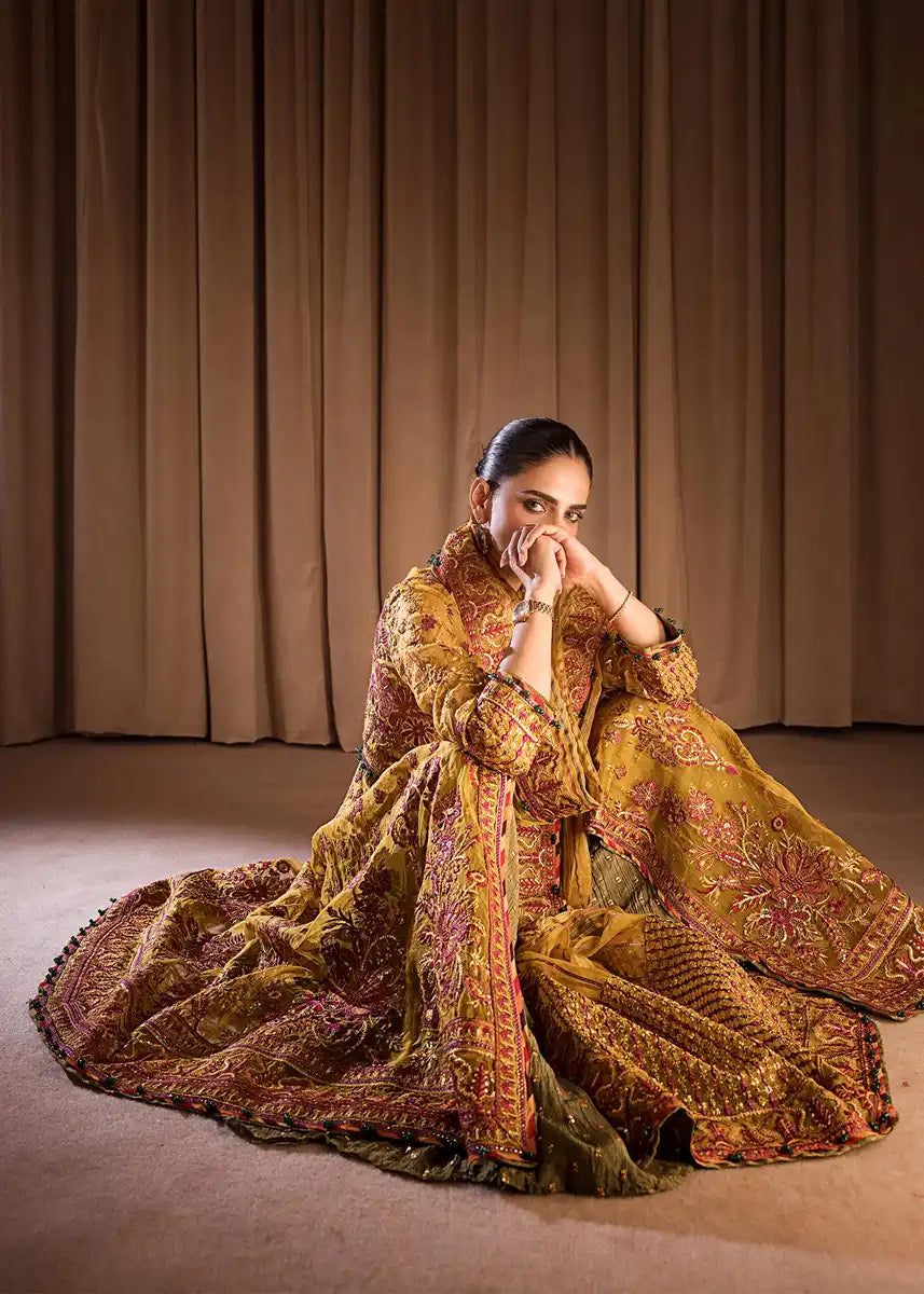 HSY | Rehana Collection 2023 | Ronak - Riwayat-e-Khas
