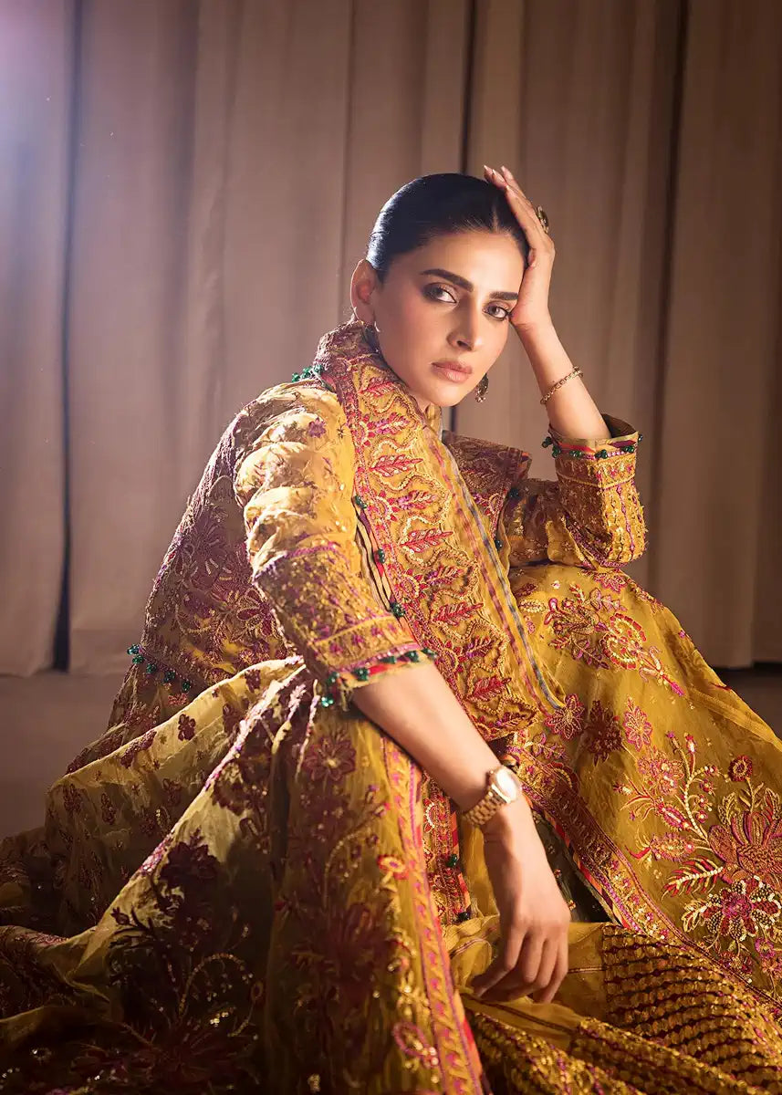 HSY | Rehana Collection 2023 | Ronak - Riwayat-e-Khas