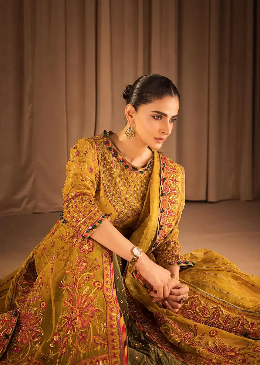 HSY | Rehana Collection 2023 | Ronak - Riwayat-e-Khas
