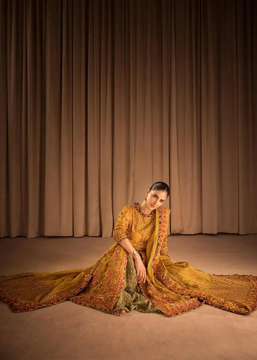 HSY | Rehana Collection 2023 | Ronak - Riwayat-e-Khas