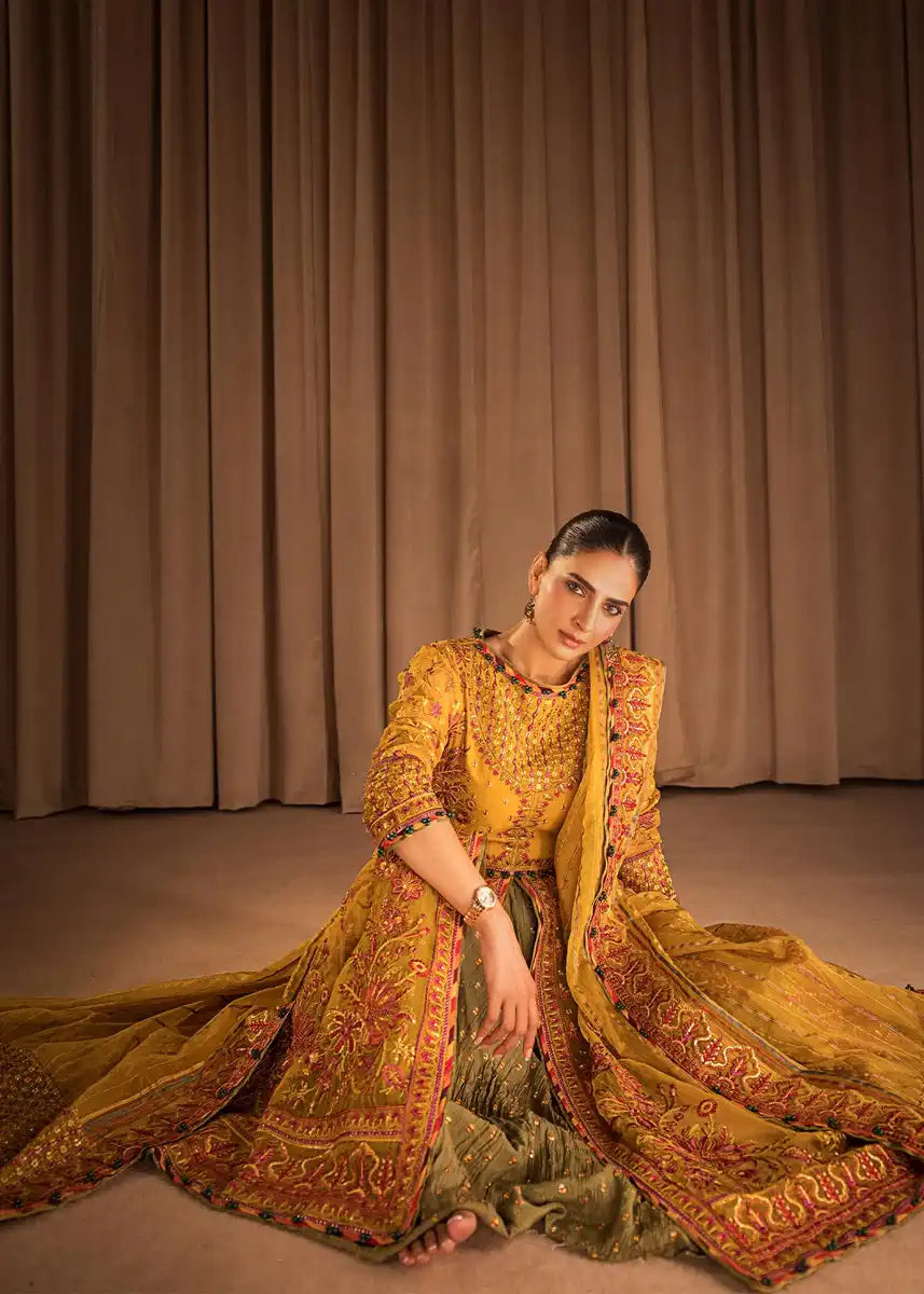 HSY | Rehana Collection 2023 | Ronak - Riwayat-e-Khas