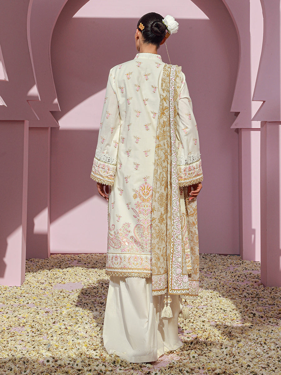 Salitex | Eid Edition | D25 - Riwayat-e-Khas