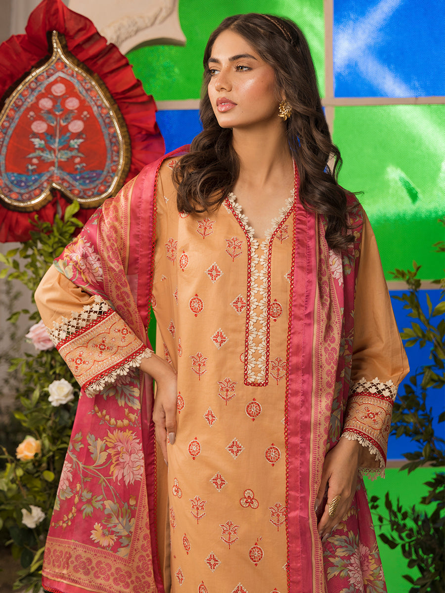Salitex | Eid Edition | D19 - Riwayat-e-Khas