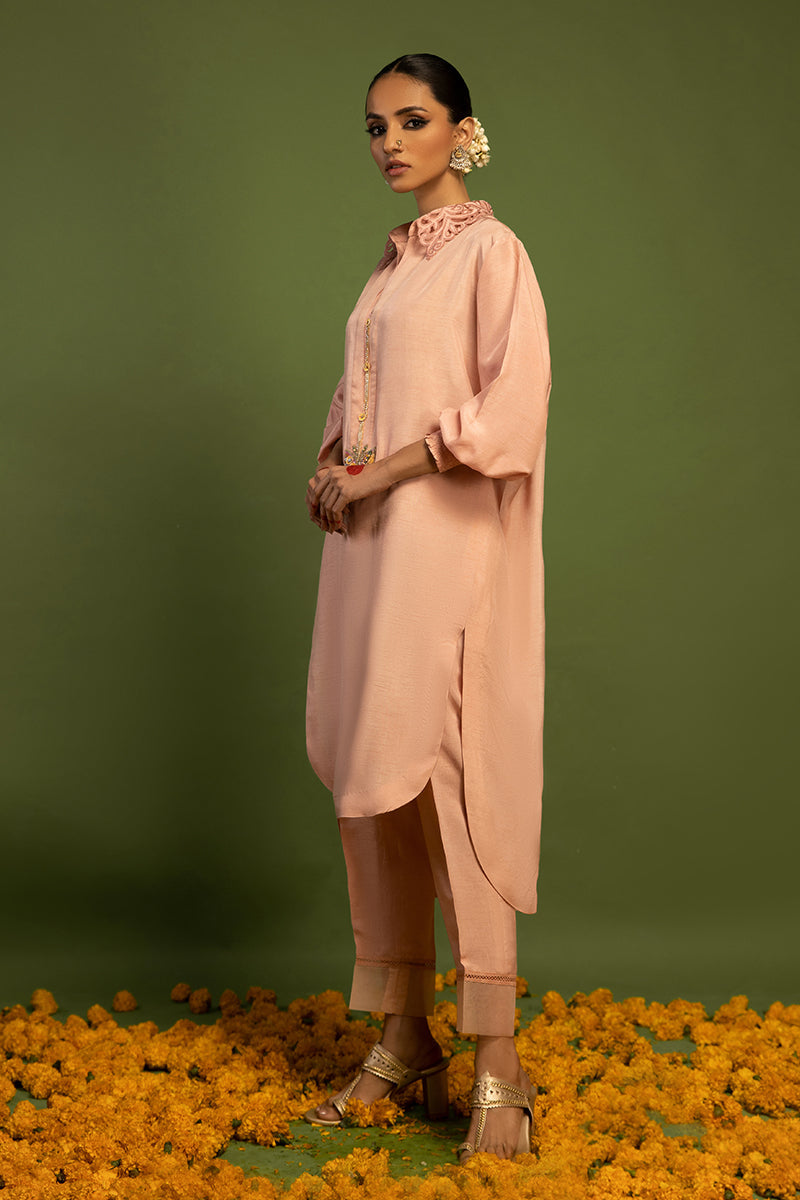Wardha Saleem | Luxury Pret Traditional Wear | TITLI (2 PC) - Riwayat-e-Khas