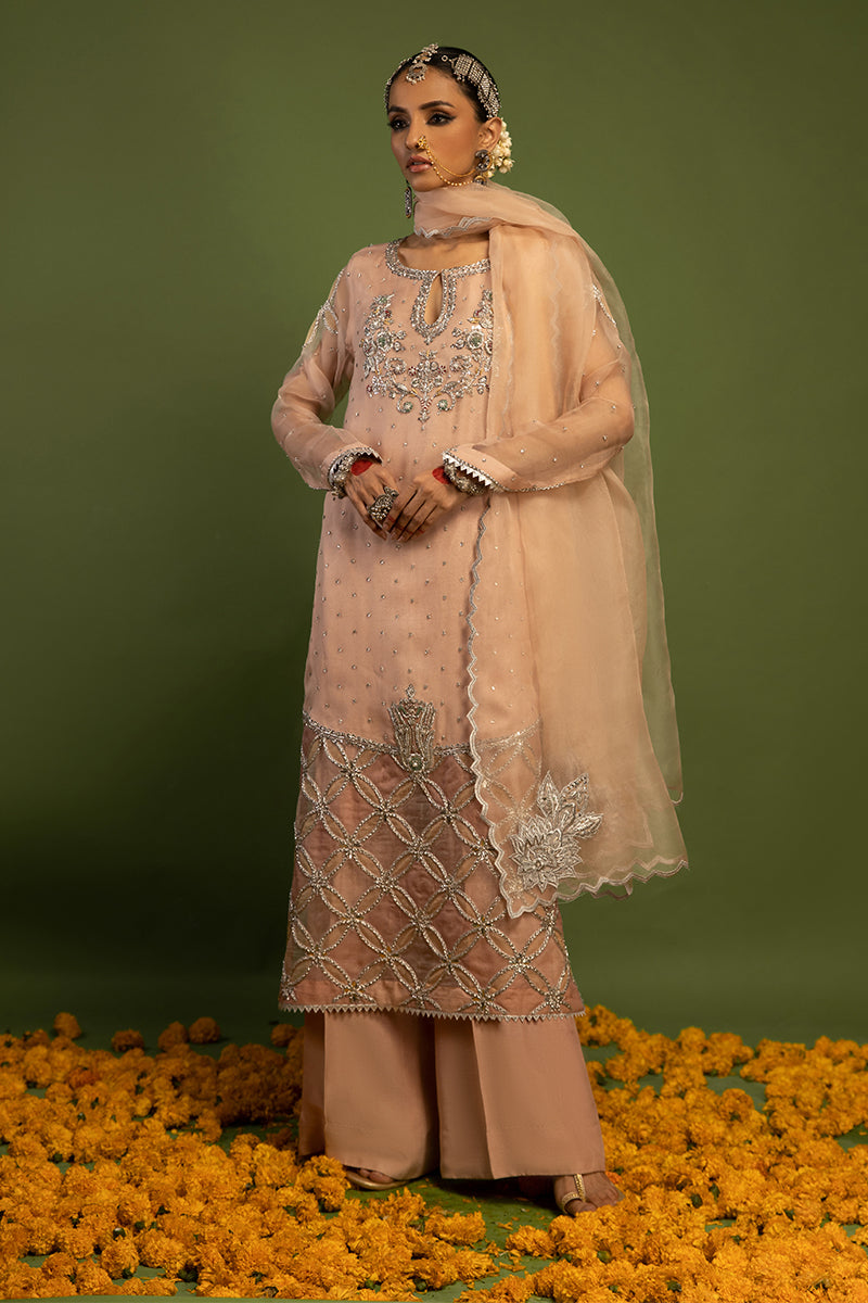 Wardha Saleem | Luxury Pret Traditional Wear | MISMAAR - HEAVY FORMAL (2 PC) - Riwayat-e-Khas