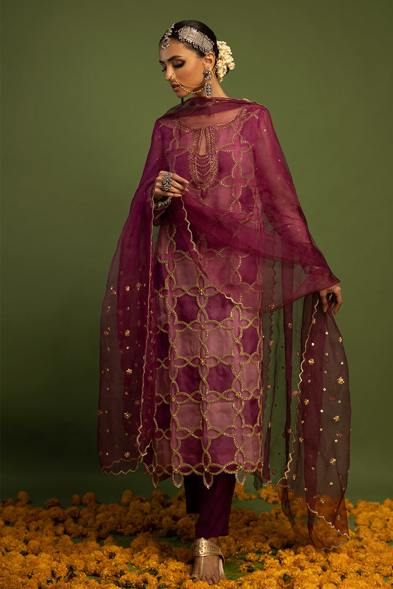Wardha Saleem | Luxury Pret Traditional Wear | SARAAB - PLUM HEAVY (2 PC) - Riwayat-e-Khas