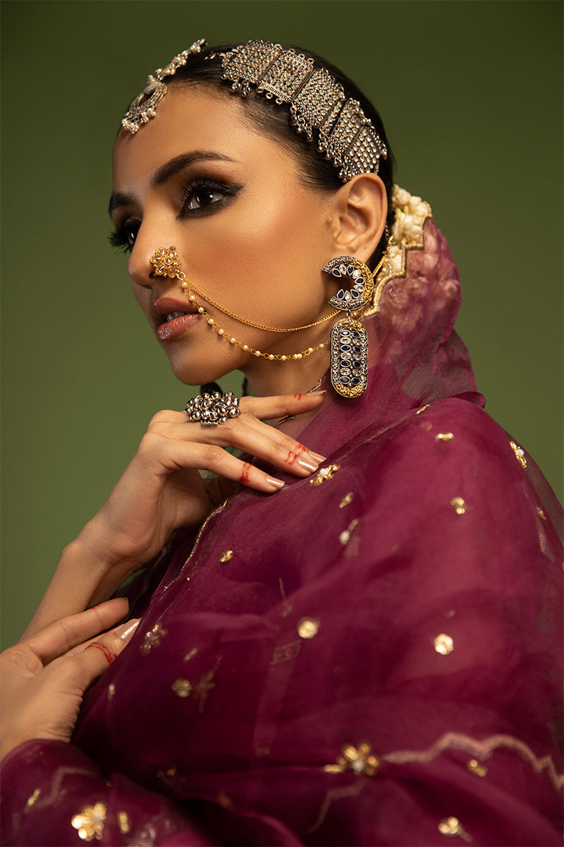 Wardha Saleem | Luxury Pret Traditional Wear | SARAAB - PLUM HEAVY (2 PC) - Riwayat-e-Khas