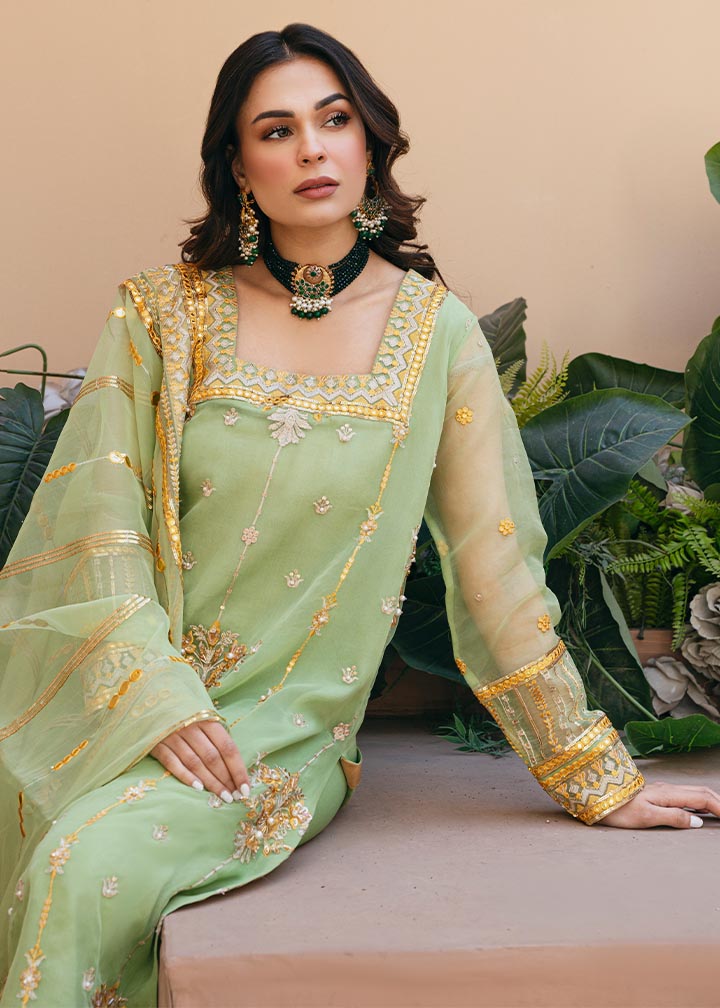 Daud Abbas | Formals Collection | Sunahri - House Of Anaya