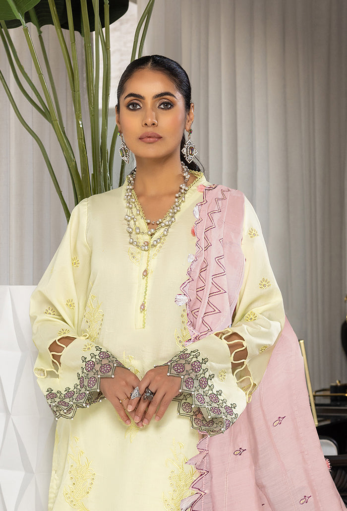 Humdum | Charlotte Chikankari Lawn | D06 - House Of Anaya