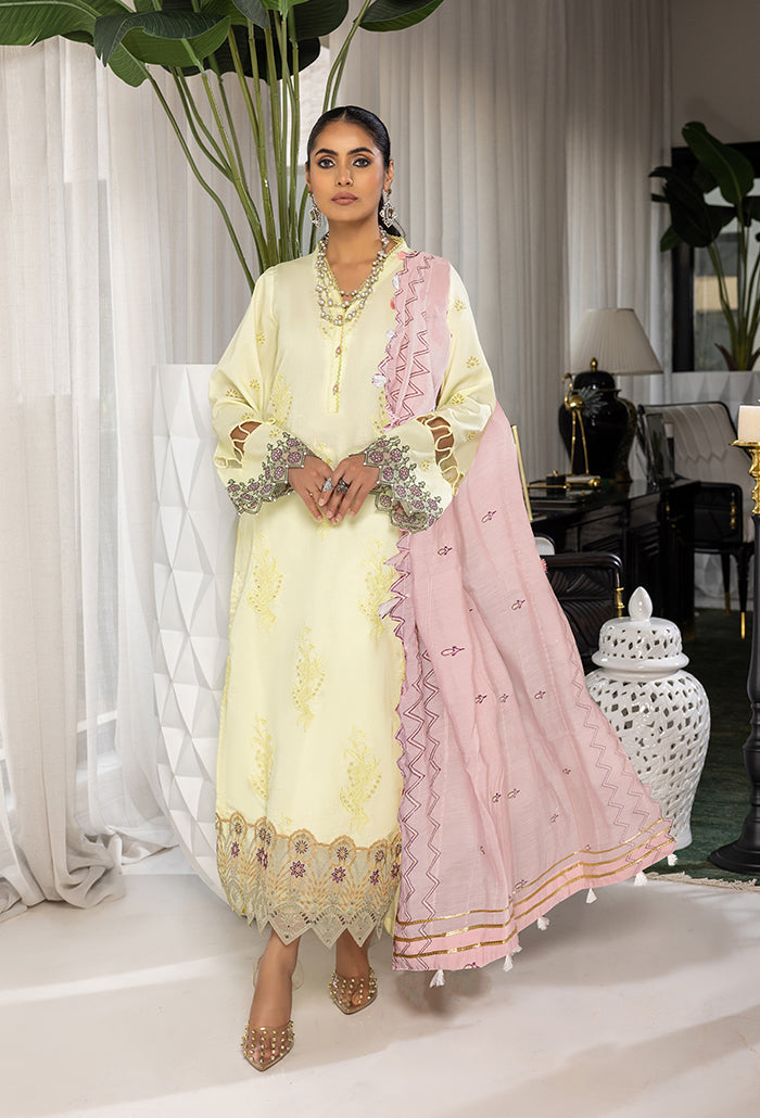 Humdum | Charlotte Chikankari Lawn | D06 - House Of Anaya