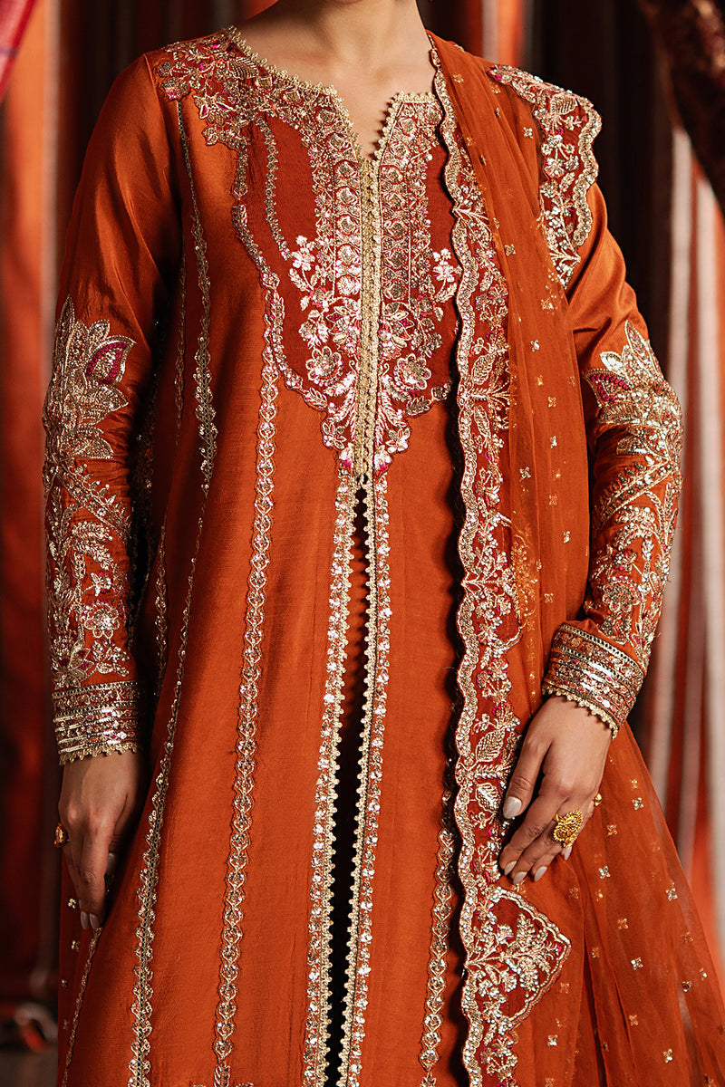 Afrozeh | Divani Silk 25 | Aafreen