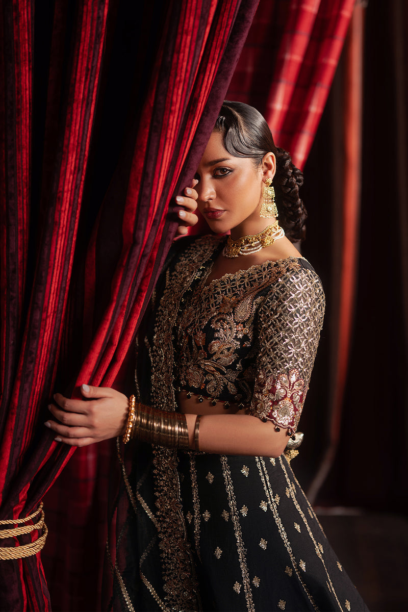 Afrozeh | Divani Silk 25 | Gulraiz