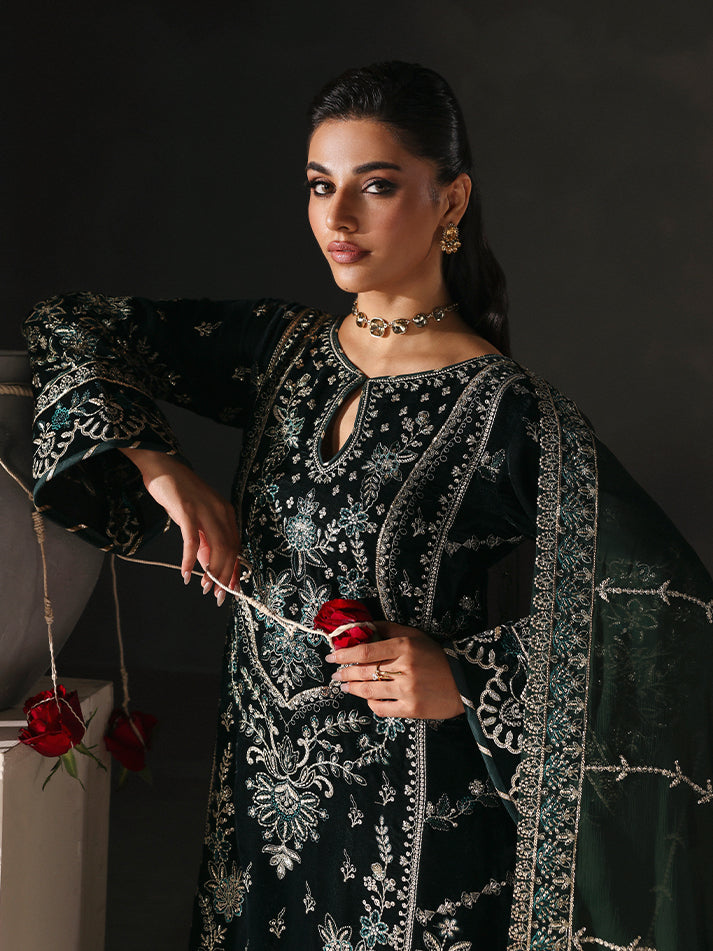 Gulaal | Marais Velvet | EVANA
