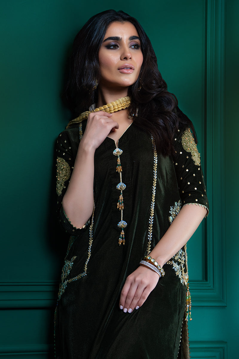 Wardha Saleem | Velvets Winter Fall 24 |  Guldaan - Riwayat-e-Khas