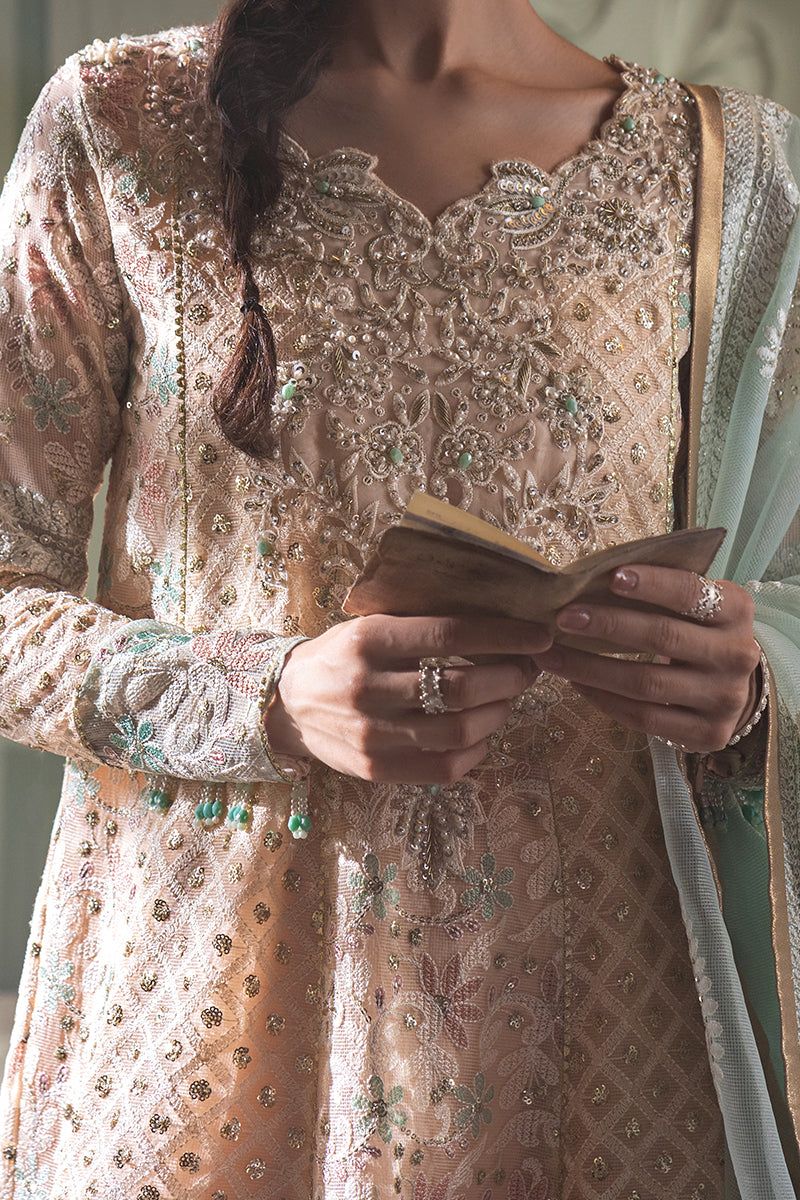 Amira - Riwayat-e-khas