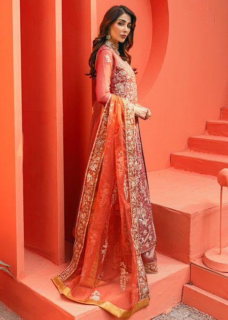 Daud Abbas - Nilofer - House Of Anaya