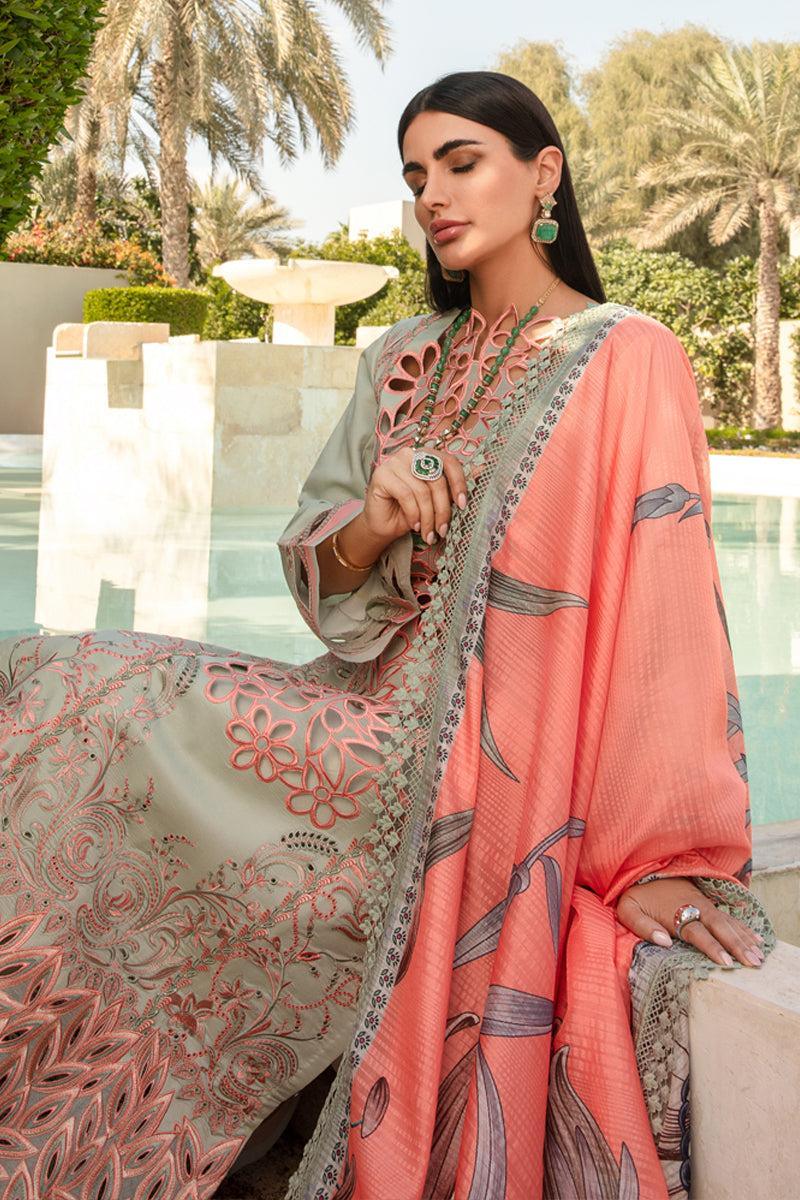 Rang Rasiya - Orchid - Riwayat-e-khas