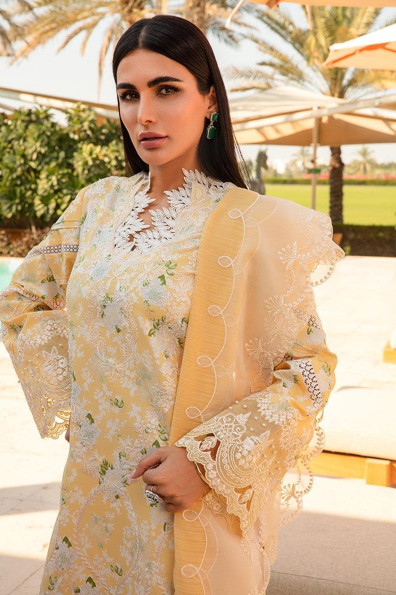 Rang Rasiya - Ariana - Riwayat-e-khas