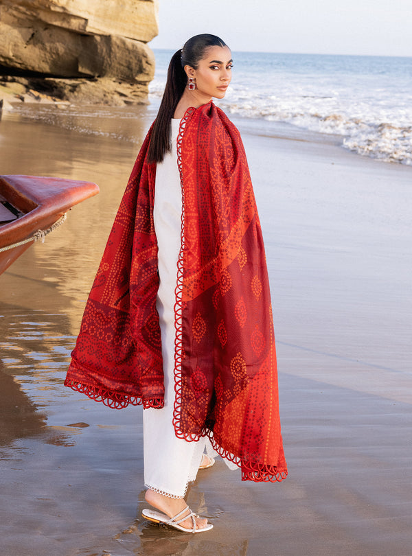 Zainab chottani | Luxury Chikankari 24 | CHUNARI - 3A - Riwayat-e-Khas
