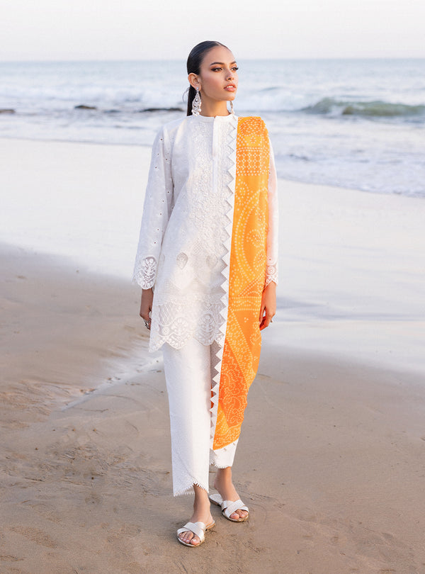 Zainab chottani | Luxury Chikankari 24 | CHUNARI - 3B - Riwayat-e-Khas