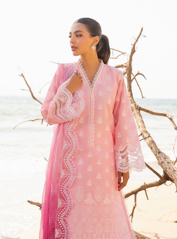 Zainab chottani | Luxury Chikankari 24 | AMYRA - 8B - Riwayat-e-Khas