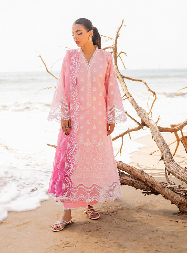 Zainab chottani | Luxury Chikankari 24 | AMYRA - 8B - Riwayat-e-Khas
