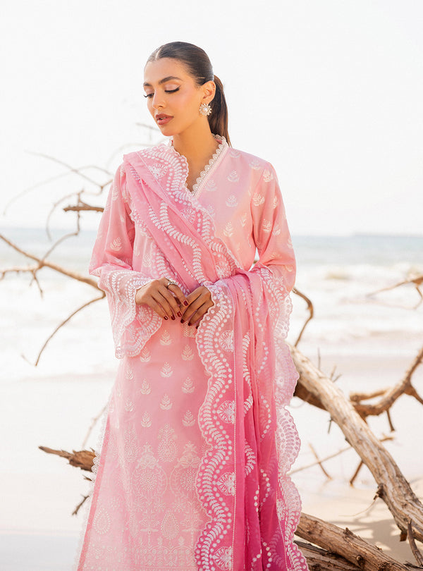Zainab chottani | Luxury Chikankari 24 | AMYRA - 8B - Riwayat-e-Khas