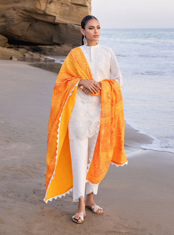 Zainab chottani | Luxury Chikankari 24 | CHUNARI - 3B - Riwayat-e-Khas