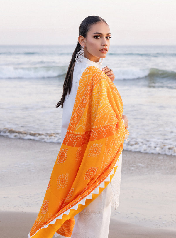 Zainab chottani | Luxury Chikankari 24 | CHUNARI - 3B - Riwayat-e-Khas