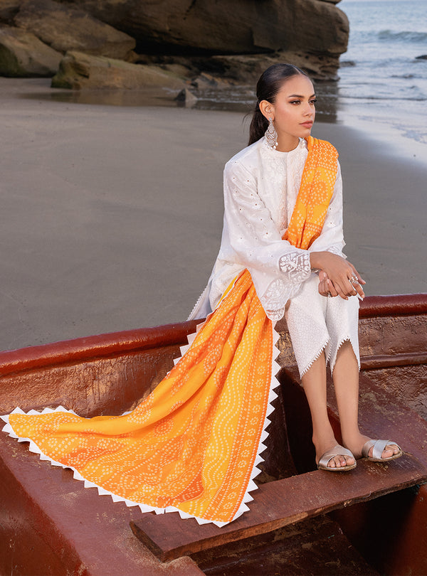Zainab chottani | Luxury Chikankari 24 | CHUNARI - 3B - Riwayat-e-Khas