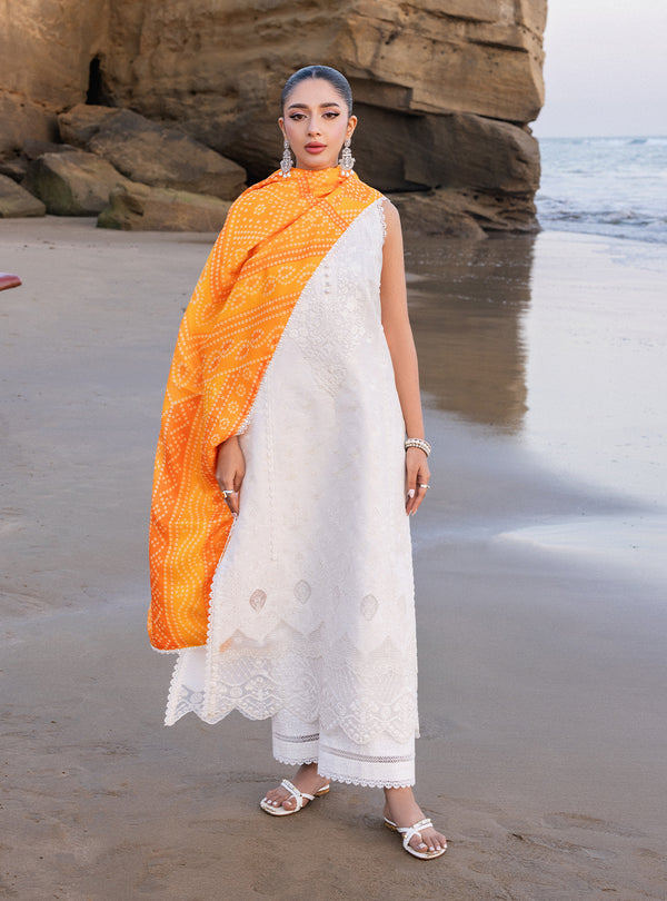 Zainab chottani | Luxury Chikankari 24 | CHUNARI - 3B - Riwayat-e-Khas