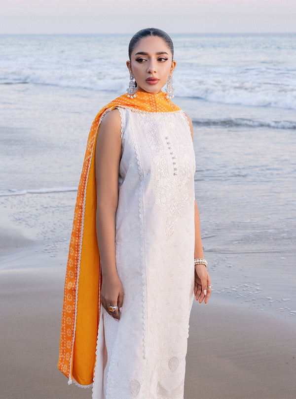 Zainab chottani | Luxury Chikankari 24 | CHUNARI - 3B - Riwayat-e-Khas