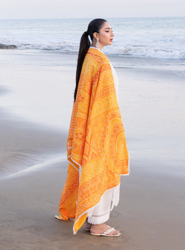 Zainab chottani | Luxury Chikankari 24 | CHUNARI - 3B - Riwayat-e-Khas