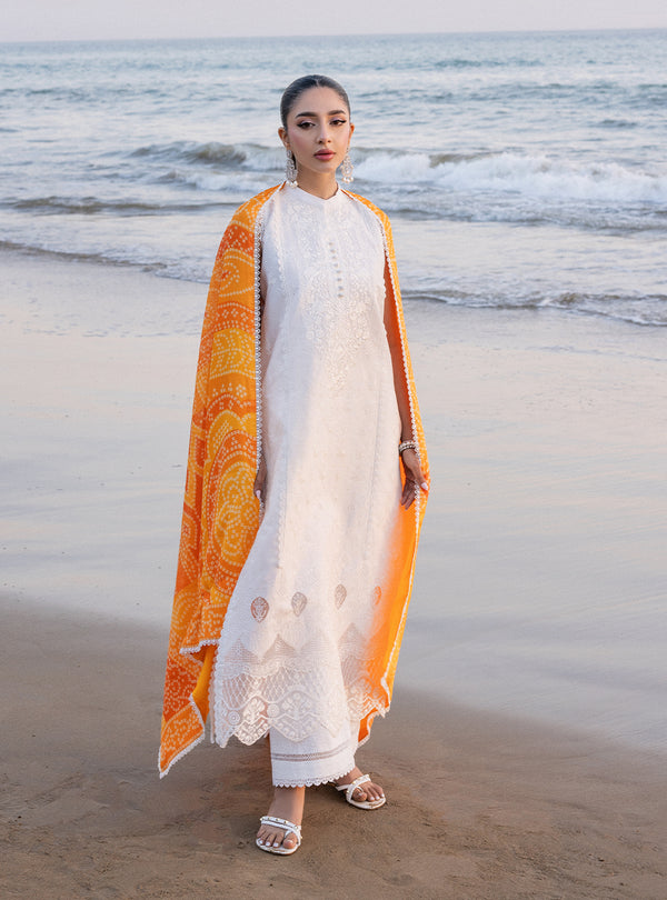 Zainab chottani | Luxury Chikankari 24 | CHUNARI - 3B - Riwayat-e-Khas