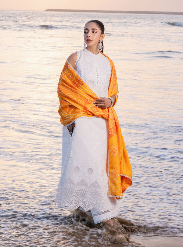 Zainab chottani | Luxury Chikankari 24 | CHUNARI - 3B - Riwayat-e-Khas