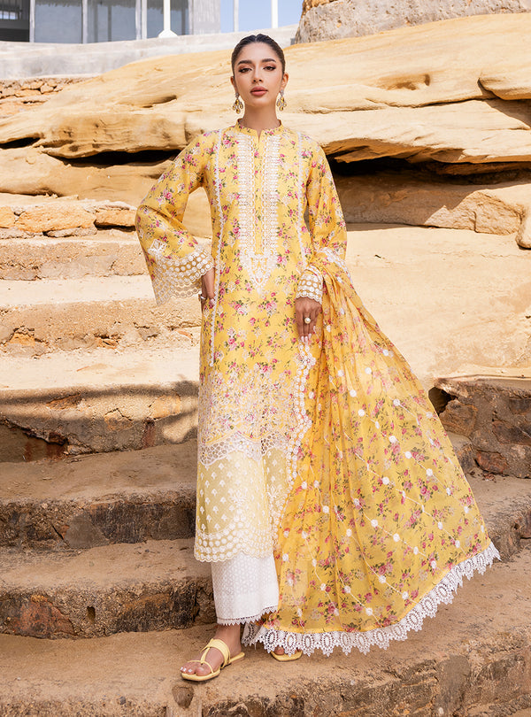Zainab chottani | Luxury Chikankari 24 | ESME - 9B - Riwayat-e-Khas