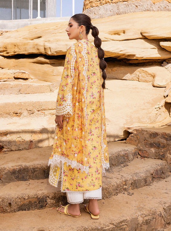 Zainab chottani | Luxury Chikankari 24 | ESME - 9B - Riwayat-e-Khas