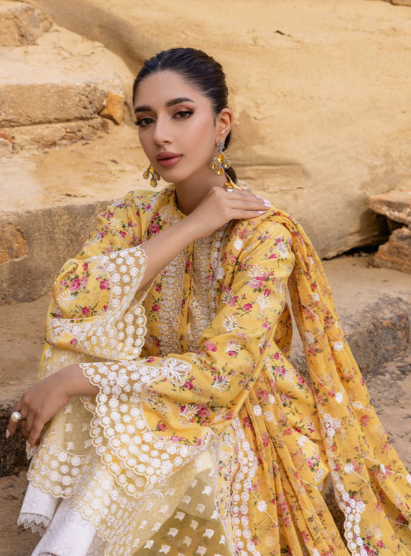 Zainab chottani | Luxury Chikankari 24 | ESME - 9B - Riwayat-e-Khas