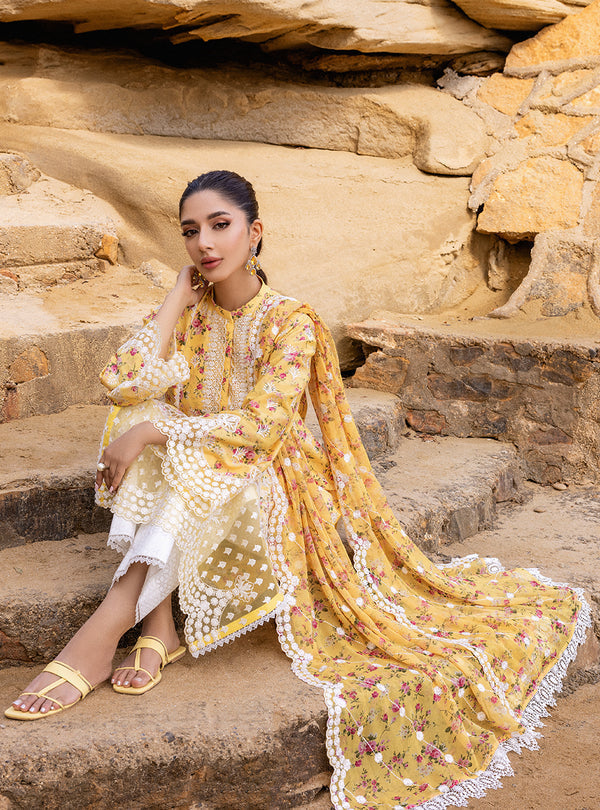 Zainab chottani | Luxury Chikankari 24 | ESME - 9B - Riwayat-e-Khas