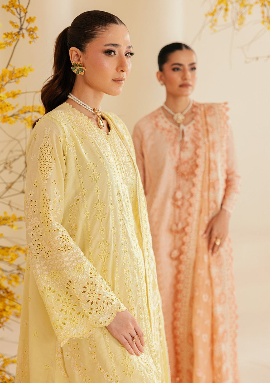 Aik | Lawn 26 vol 2 | Lawn - Look B2604A