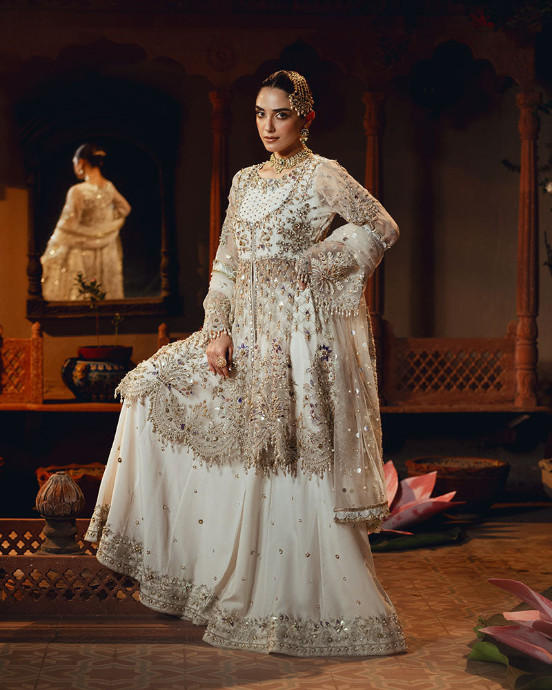Ain | Naulakha Wedding Festive 24 | AR-141 UFFRAH