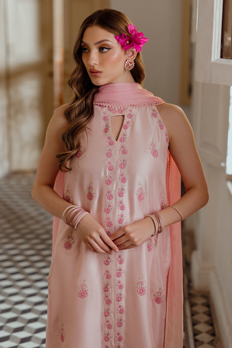 Ansab Jahangir | Luxe Pret Eid 24 | HEMAYAL - House Of Anaya