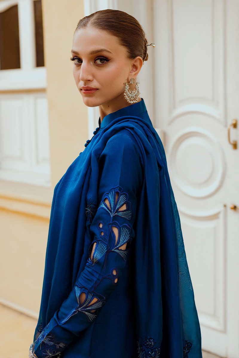 Ansab Jahangir | Luxe Pret Eid 24 | INARA - House Of Anaya