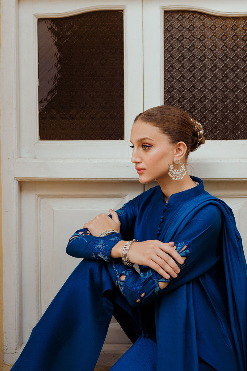 Ansab Jahangir | Luxe Pret Eid 24 | INARA - House Of Anaya