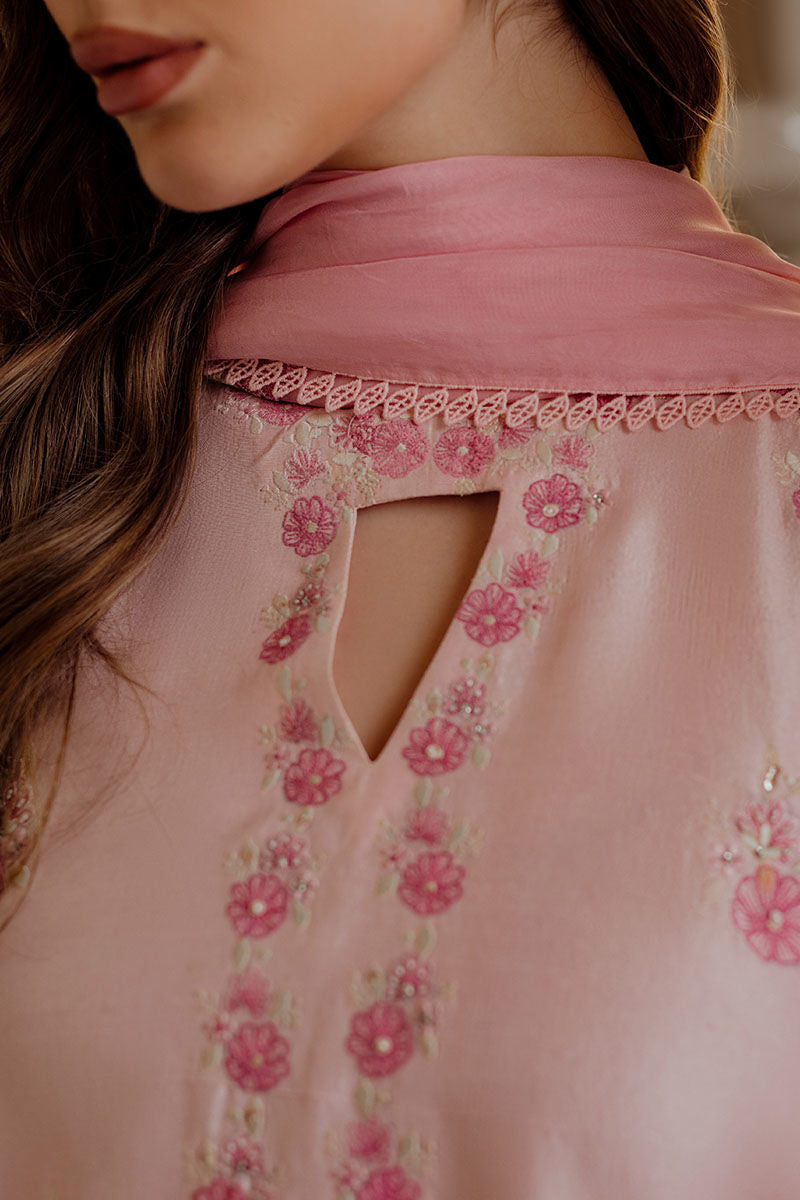 Ansab Jahangir | Luxe Pret Eid 24 | HEMAYAL - House Of Anaya