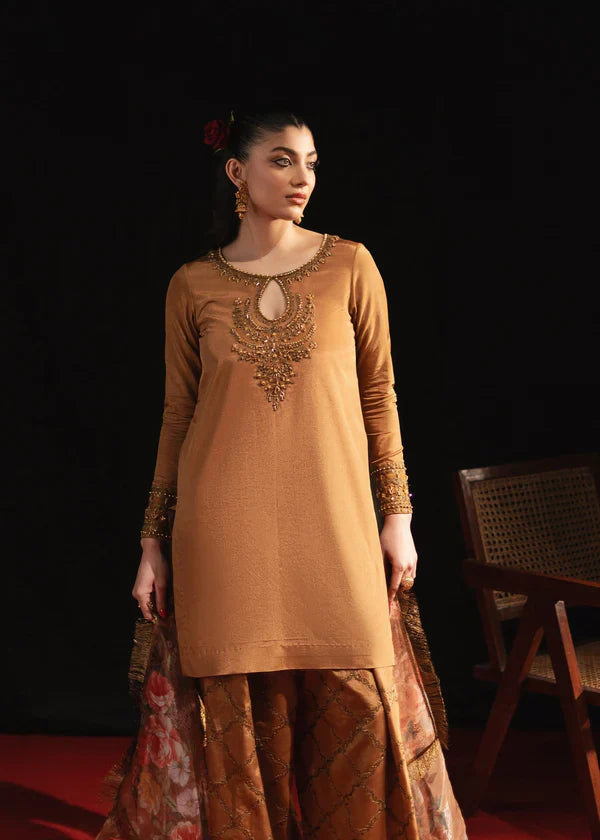 Maria Osama Khan | Jashan | Zeba-e-Jashan