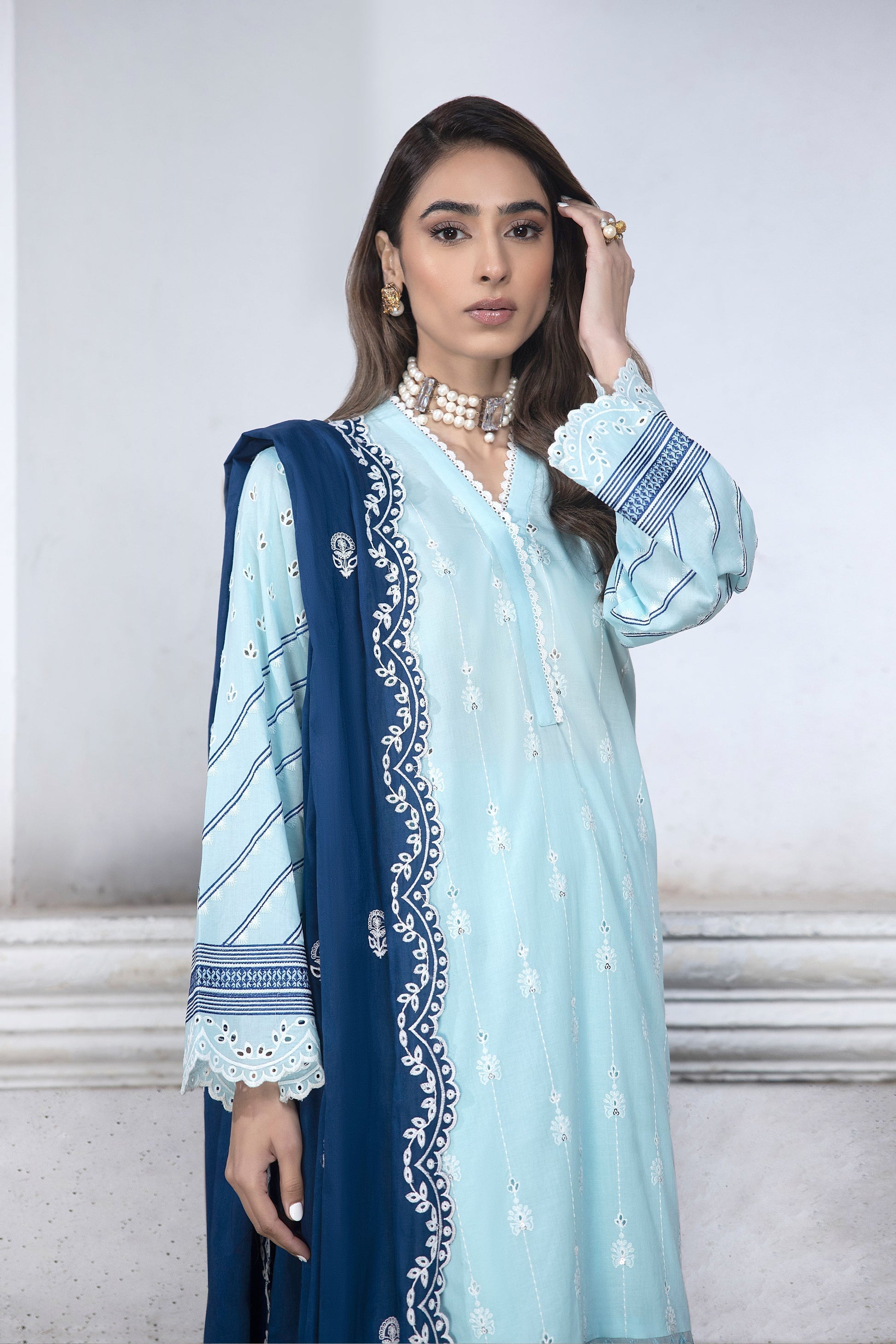 LSM | Spring Embroidered 24 | A-1 - Riwayat-e-Khas