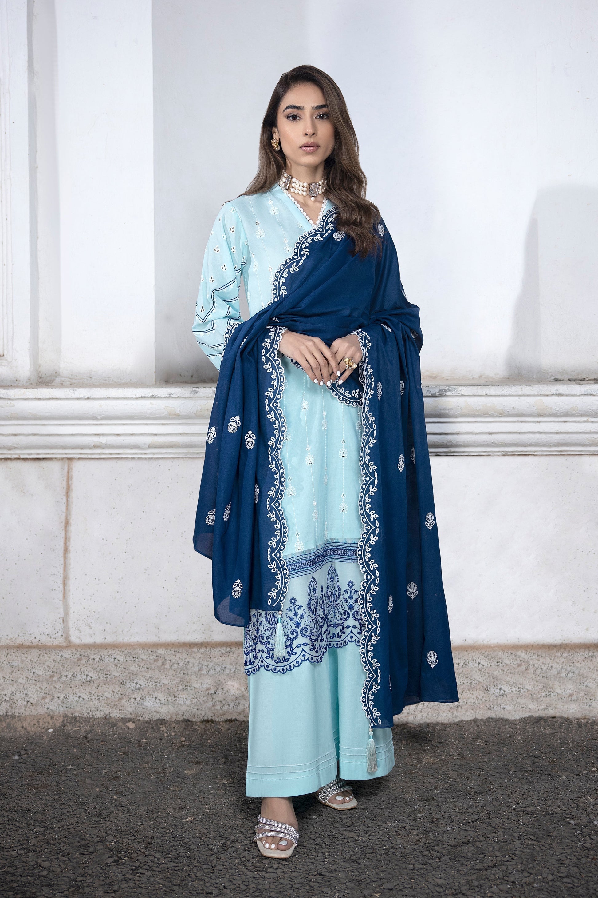 LSM | Spring Embroidered 24 | A-1 - Riwayat-e-Khas
