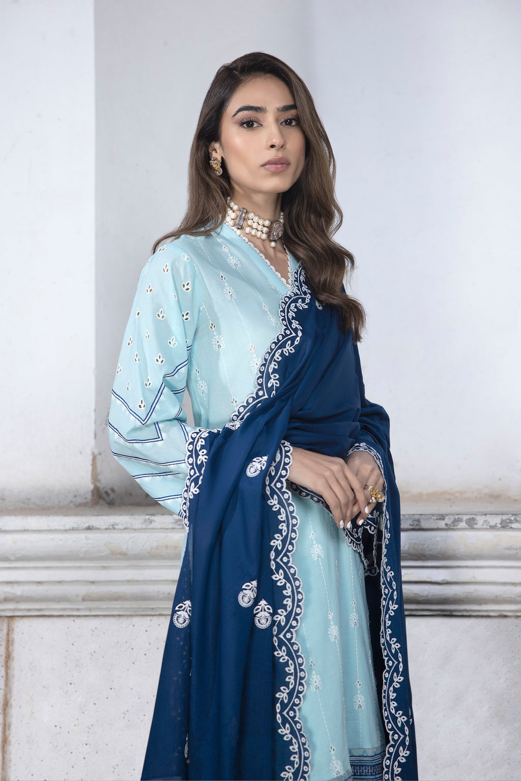 LSM | Spring Embroidered 24 | A-1 - Riwayat-e-Khas